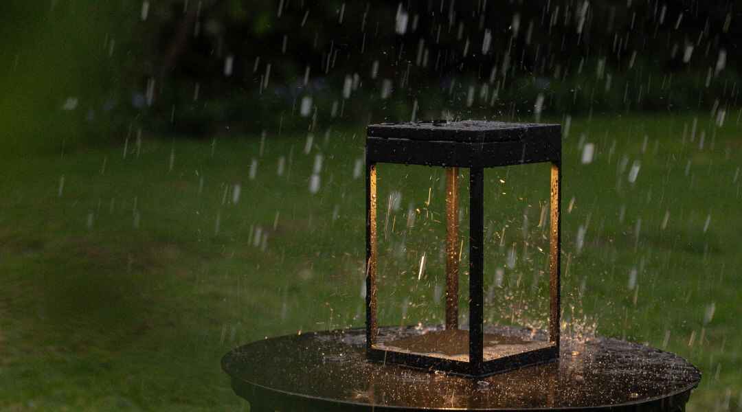Rain, wind, sun — it just keeps glowing.